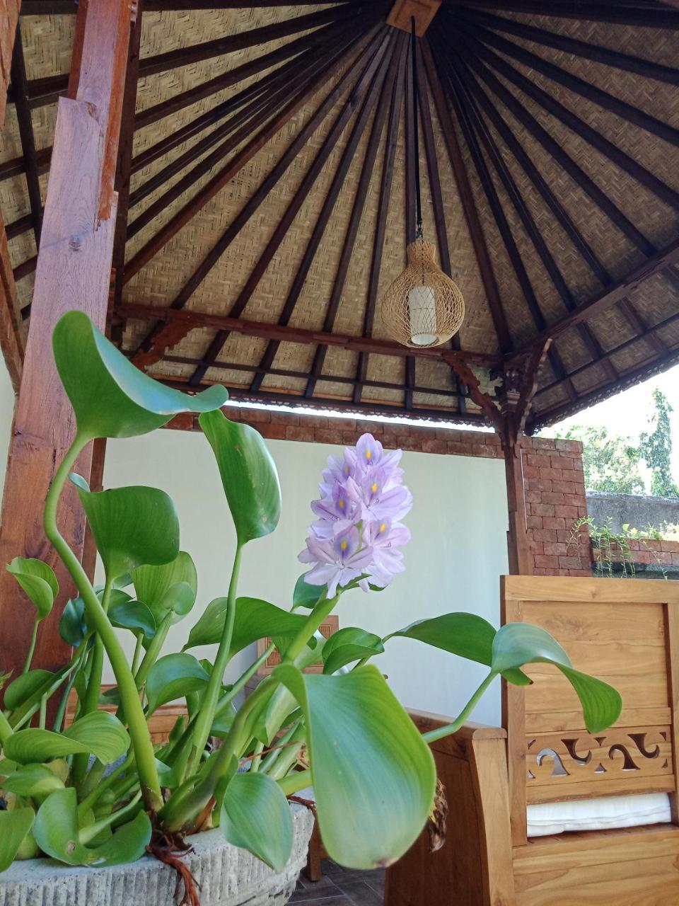 D'Puja Home Stay And Spa Нуса Дуа Екстериор снимка